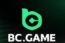In-Depth Reviews of BC CO Player Experiences and Insights