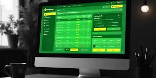 Your Ultimate Guide to BetWinner France Where Betting Meets Entertainment
